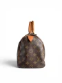 Torebka Louis Vuitton Speedy 25 Monogram