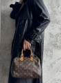 Torebka Louis Vuitton Speedy 25 Monogram