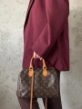 Torebka Louis Vuitton Speedy 25 Monogram