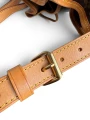 Torebka Louis Vuitton Petit Noe Monogram